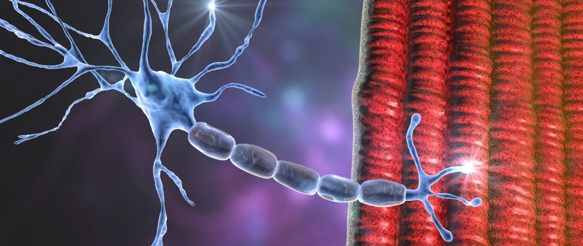 estimulacao-eletrica-neuromuscular-min.jpg
