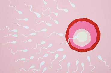 fertilizacao-thumb-min.jpg