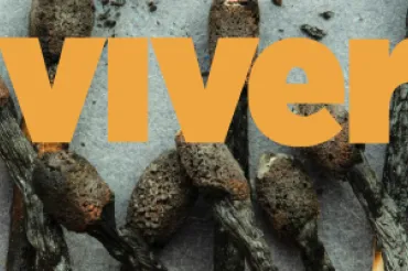 Capa da Revista Viver versão 43